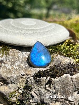 Cabochon en Labradorite