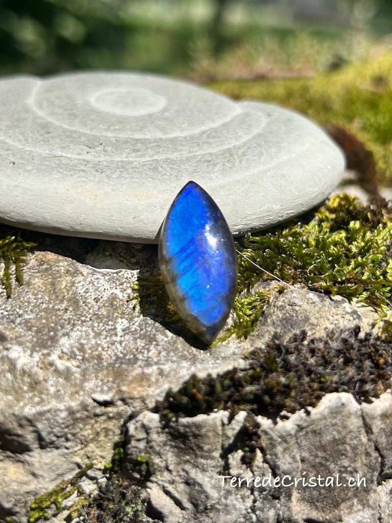 Cabochon en Labradorite