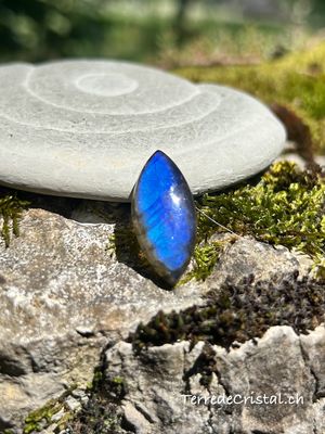 Cabochon en Labradorite