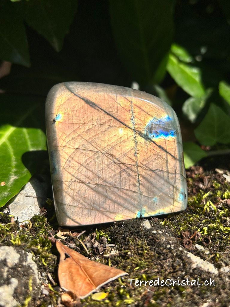 Menhir en Labradorite orangé