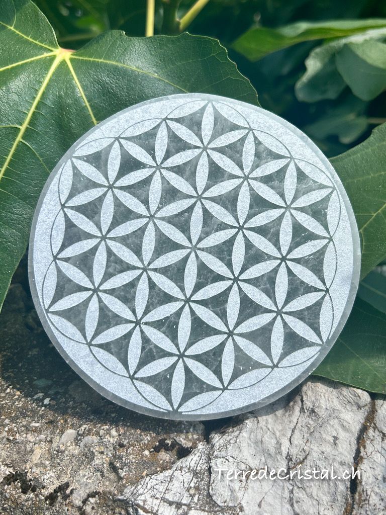 Plaque en Sélénite gravée fleur de vie