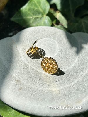 Clous d’oreilles Fleur de vie en argent 925 doré