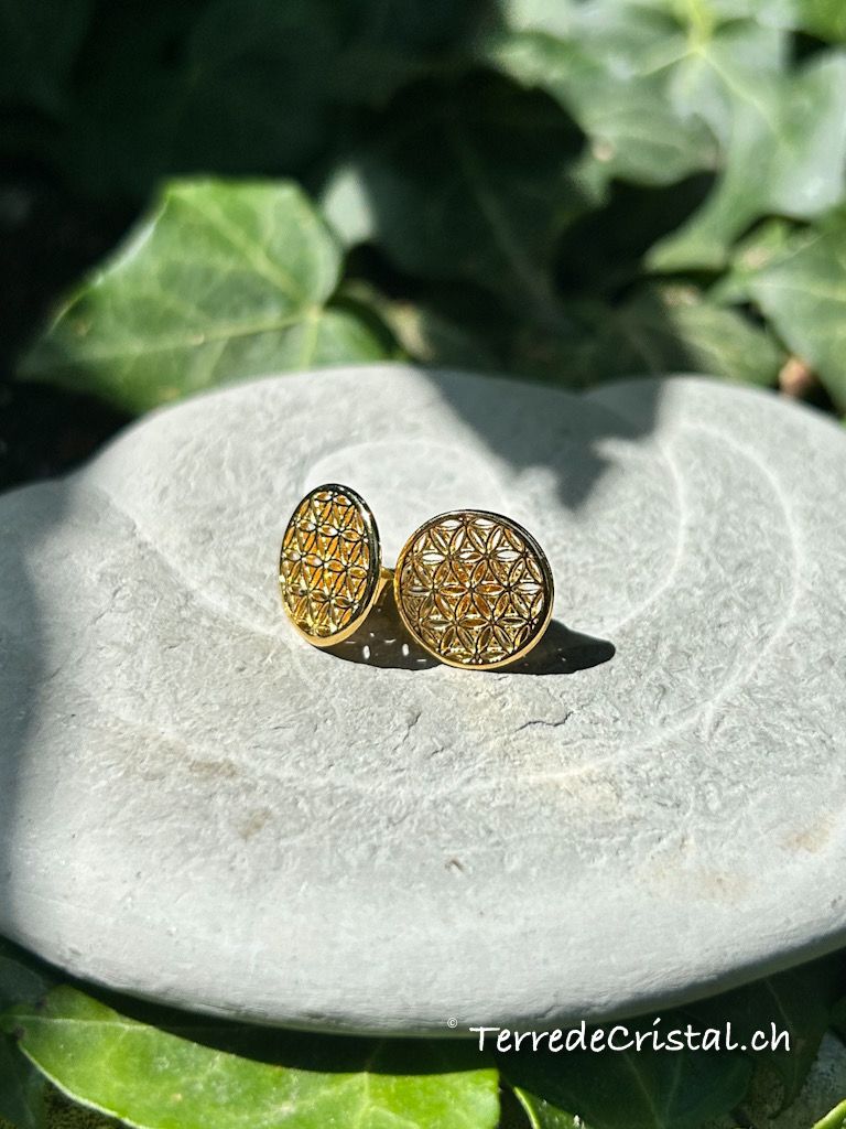 Clous d’oreilles Fleur de vie en argent 925 doré