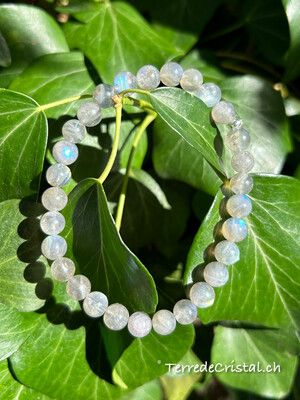 Bracelet en Labradorite 6mm