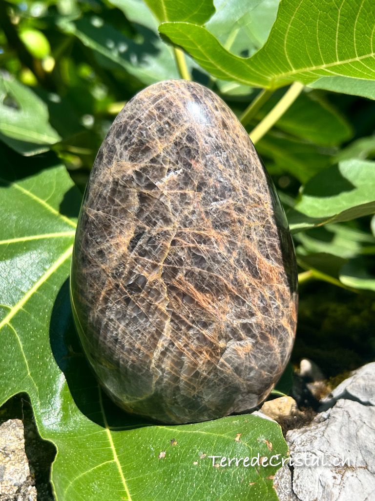 Menhir en Pierre de Lune noire