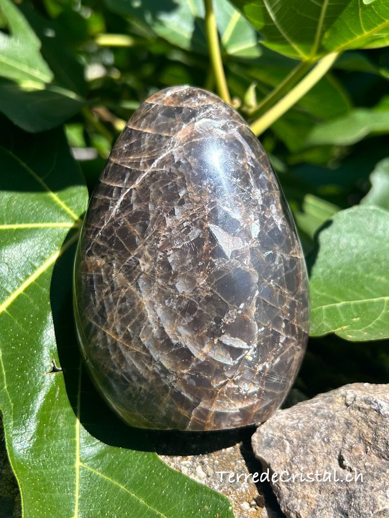 Menhir en Pierre de Lune noire