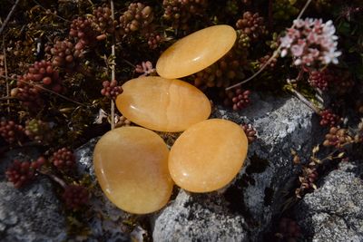Calcite orange plate