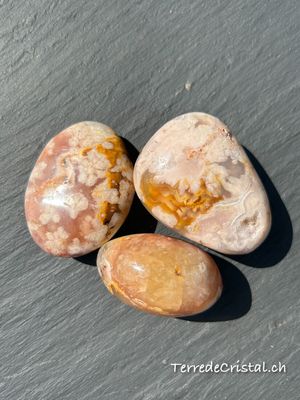Galet en Agate fleur