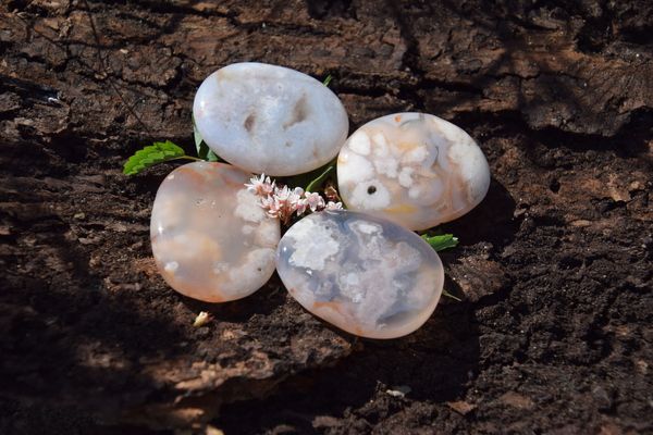 Agate fleur plate