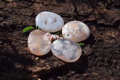 Agate fleur plate