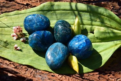 Apatite bleue roulée