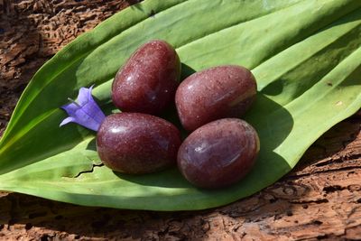 Aventurine rouge roulée (Muscovite)