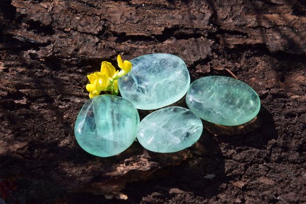 Fluorite verte plate