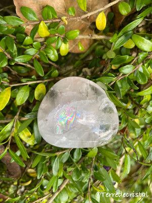 Fluorite rose