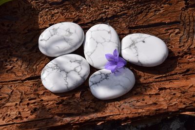 Howlite plate