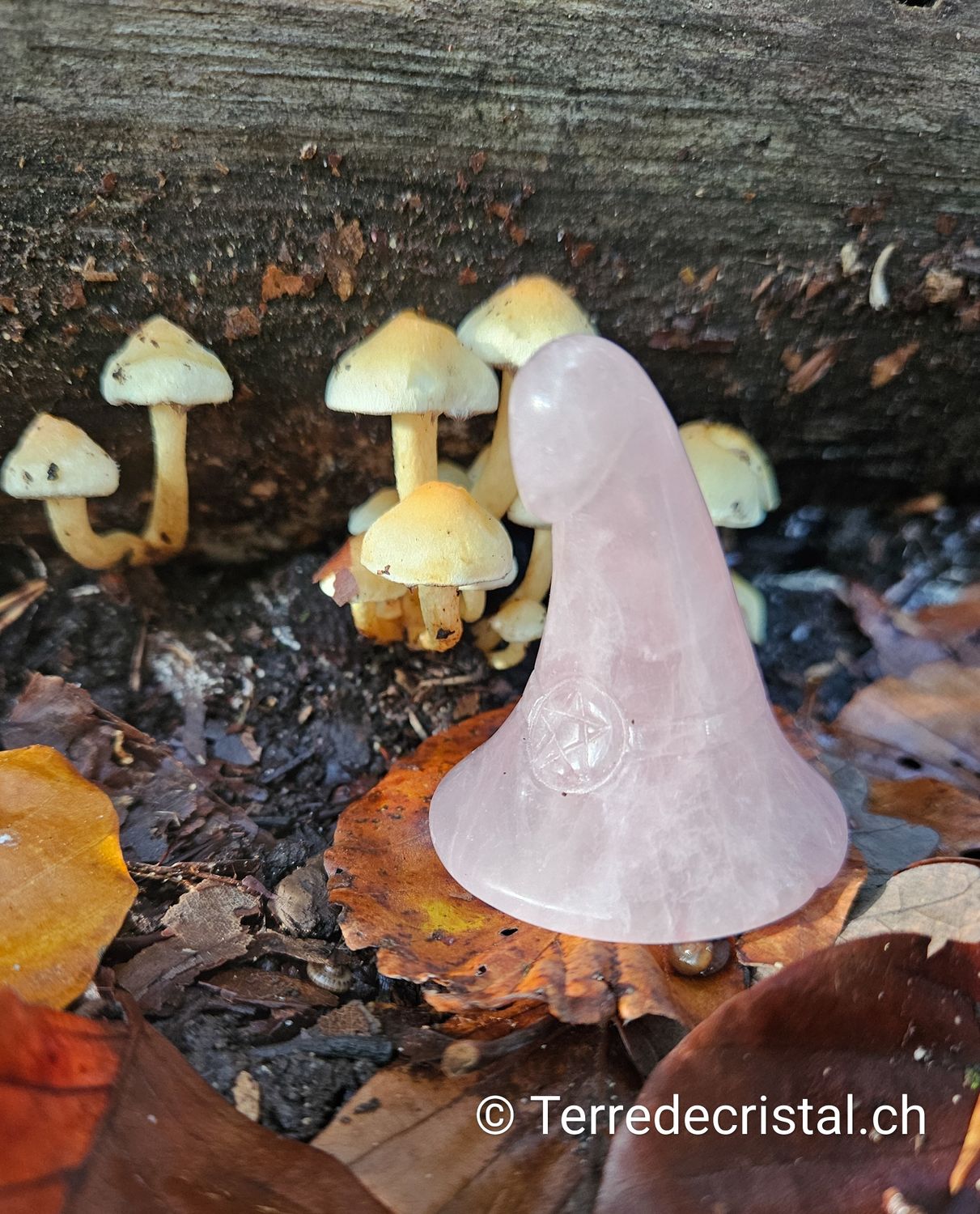 Chapeau de sorcière en Quartz rose