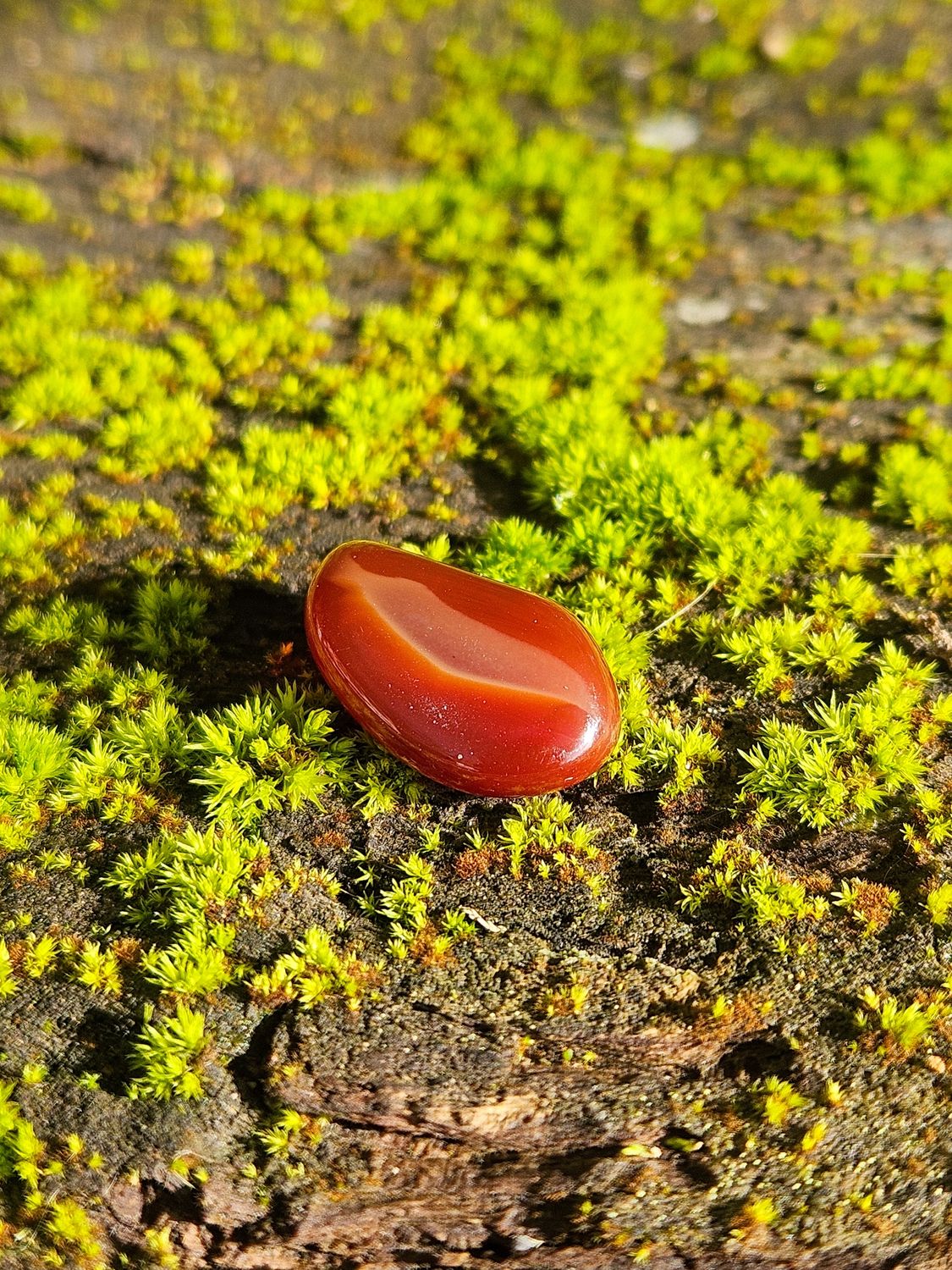 Opale de feu roulée 