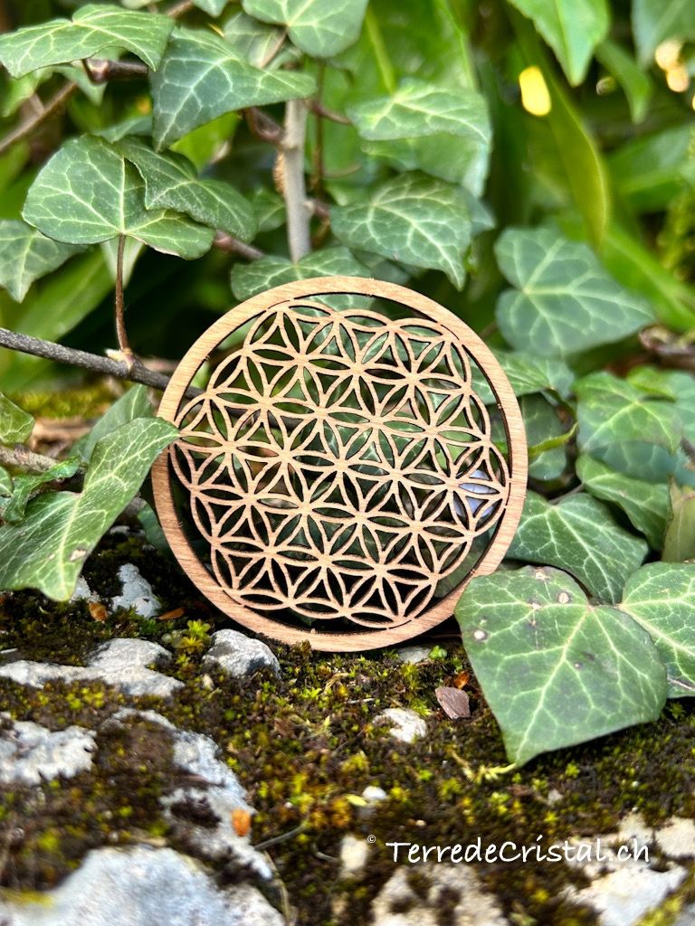 Fleur de vie en bois foncé Ø28cm
