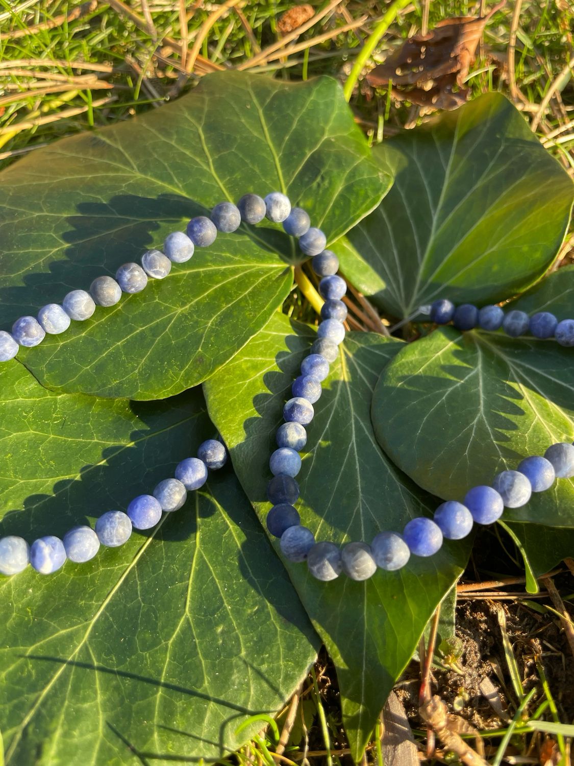 Rang de Sodalite mate 6 mm