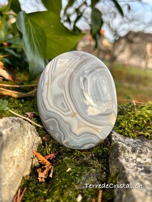 Agate Bleue et du Botswana