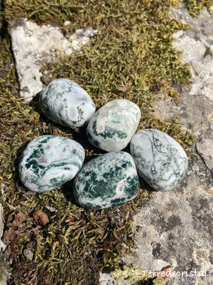 Agate Arbre