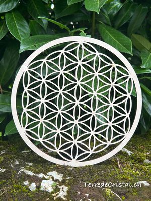 Fleur de vie en bois  Ø14cm