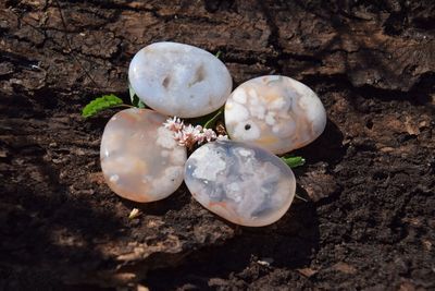 Agate Fleur