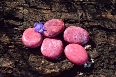 Thulite plate