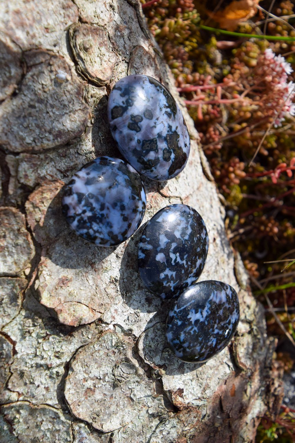 Gabbro Merlinite plat