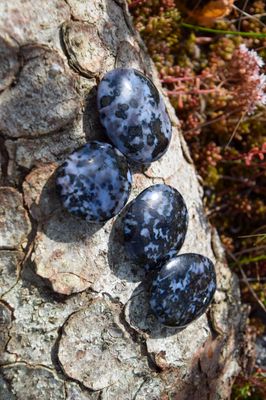 Gabbro Merlinite plat