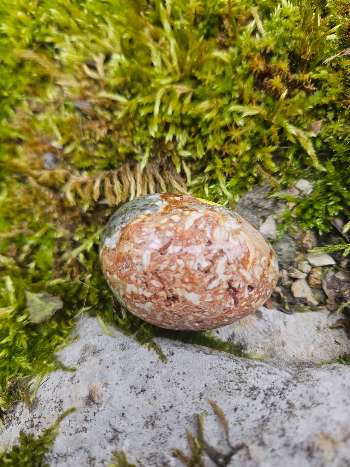 Galet en Jaspe océan