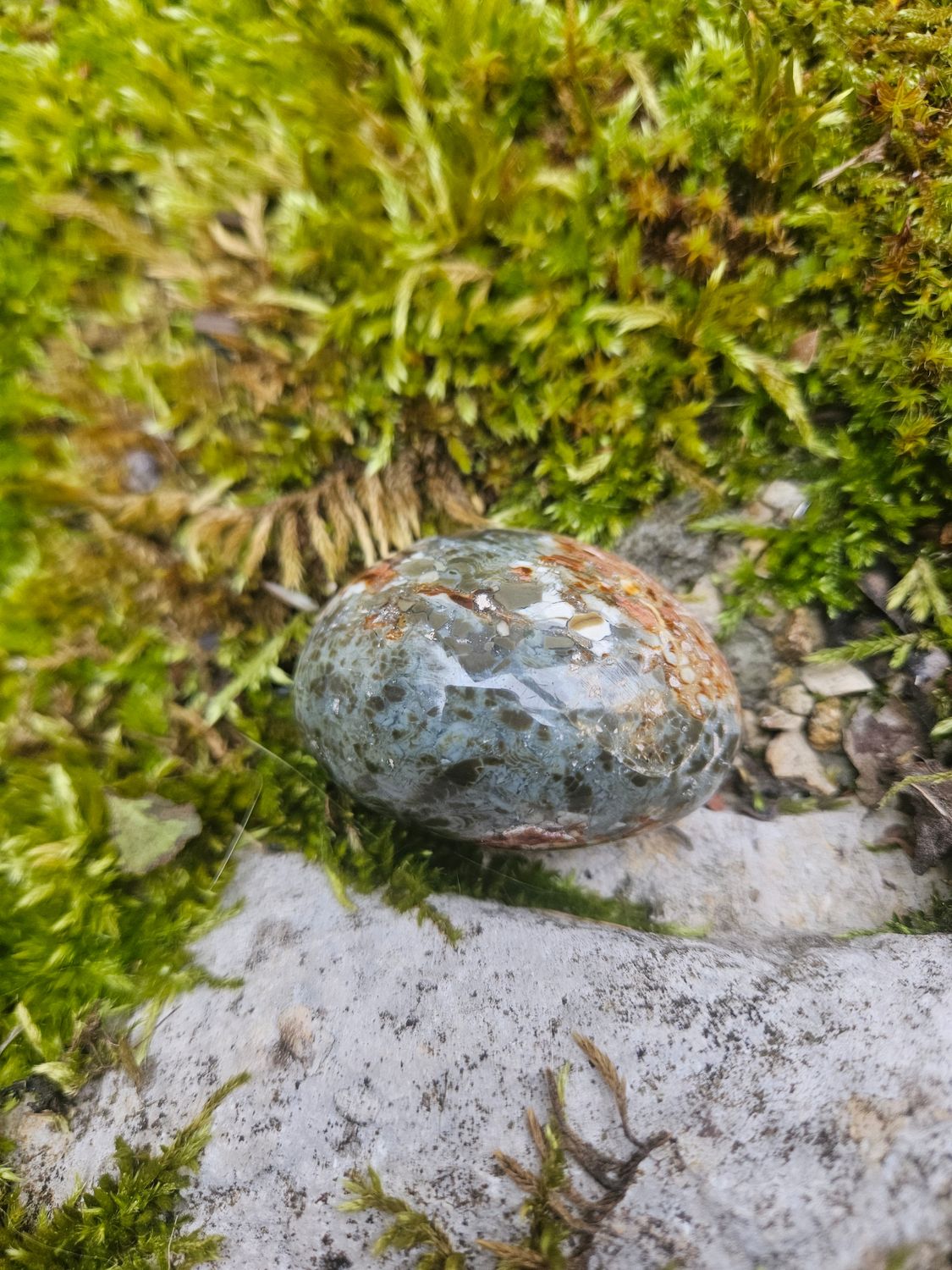 Galet en Jaspe océan