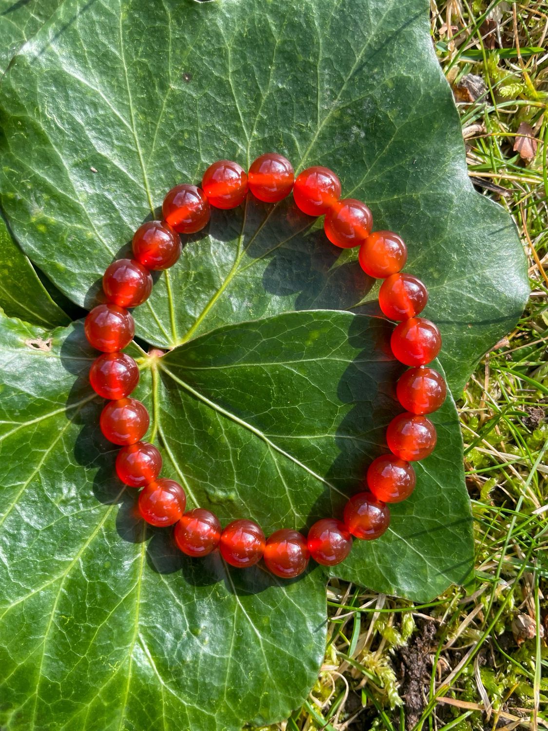 Bracelet en Cornaline foncée 8mm