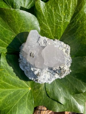 Calcite - Pyrite brute