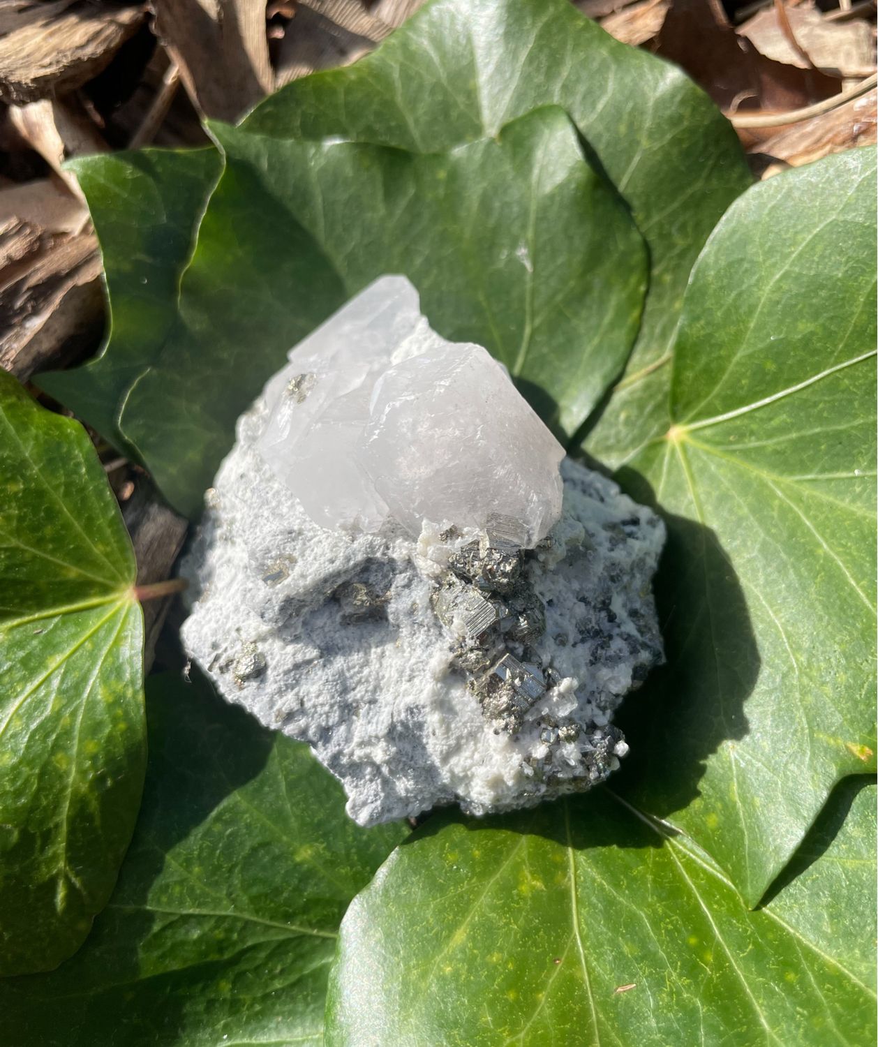 Calcite - Pyrite brute