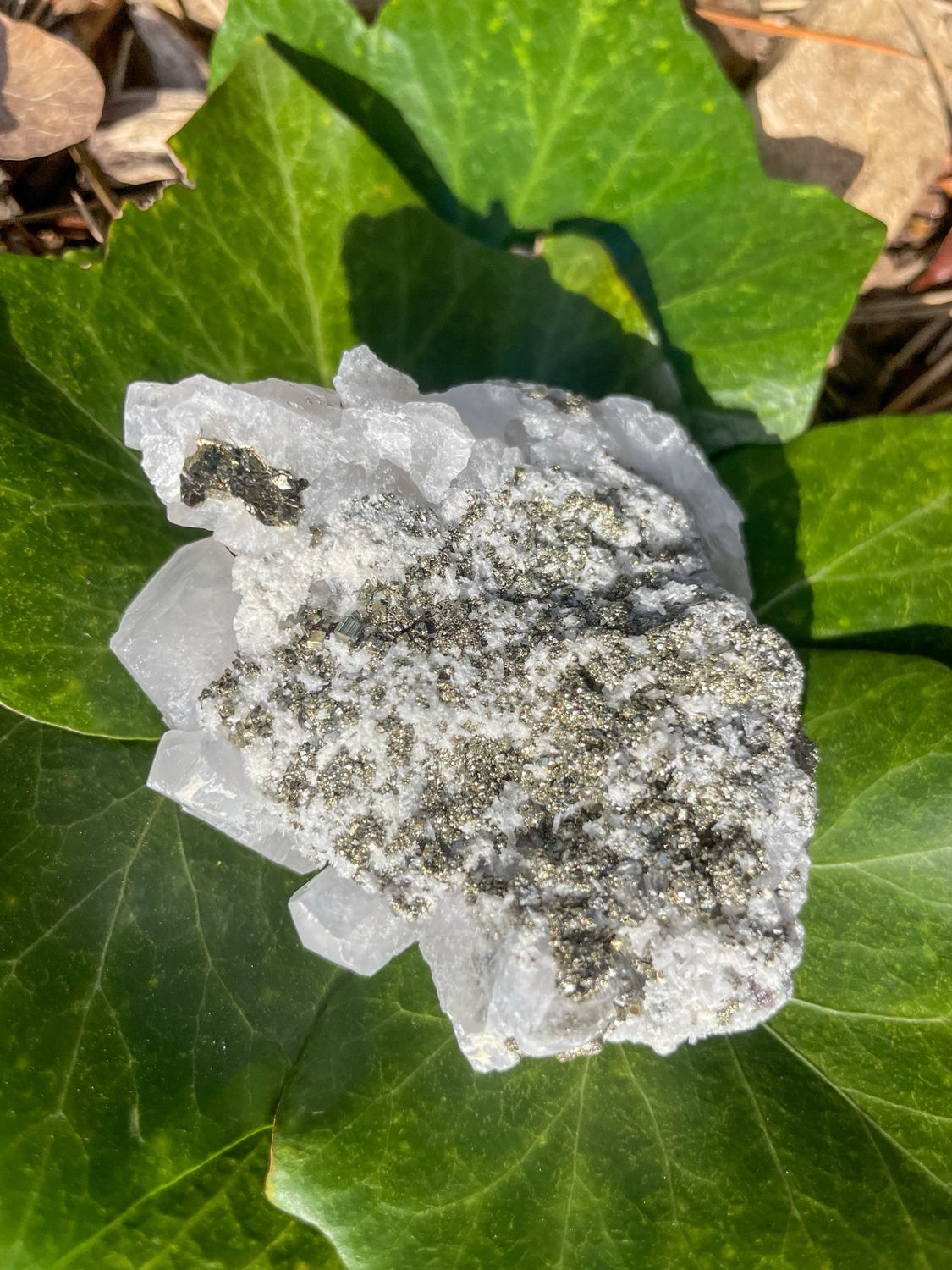 Calcite - Pyrite brute