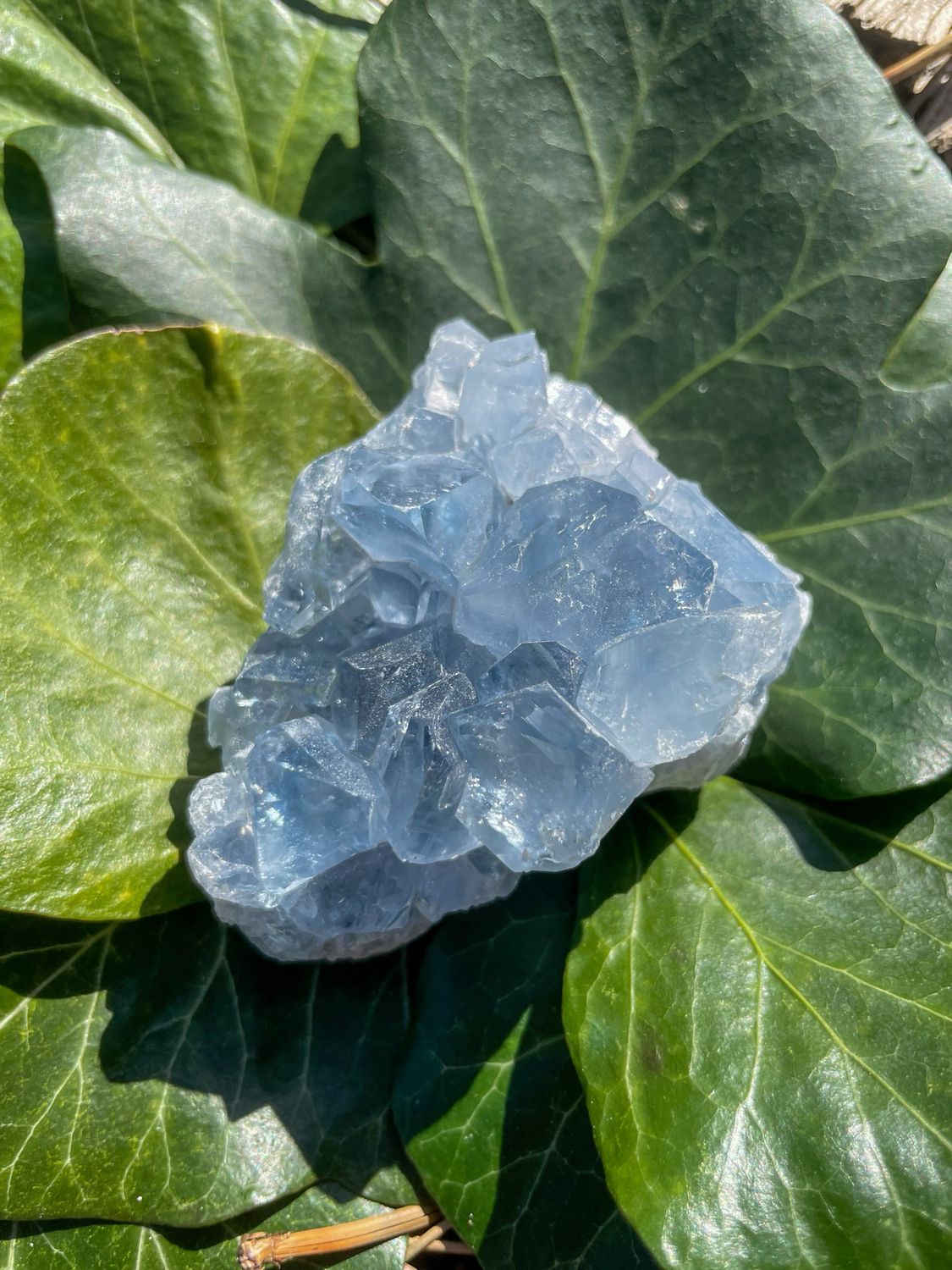 Célestite brute