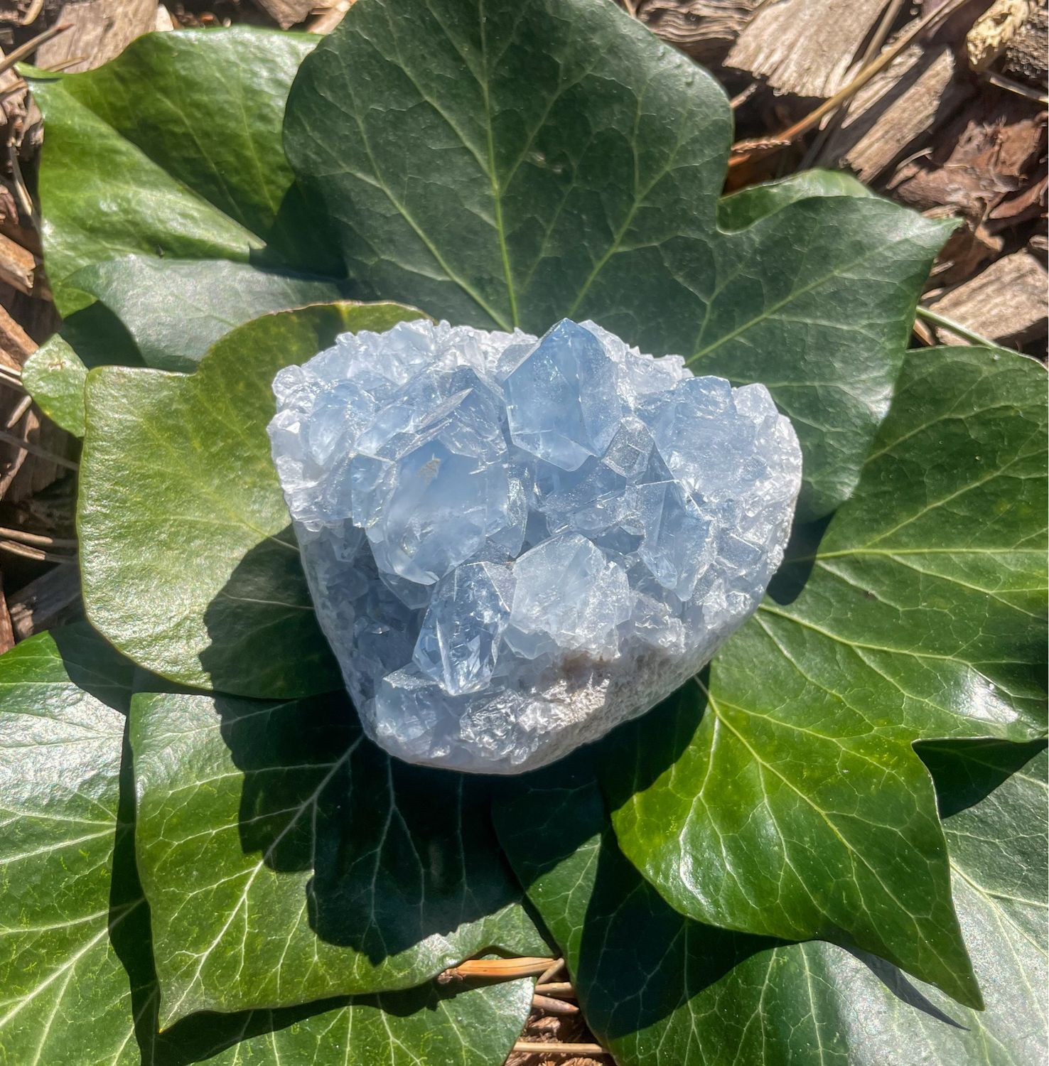 Célestite brute