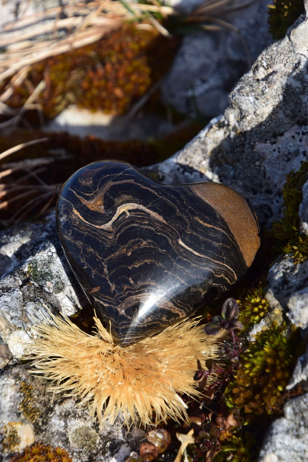 Coeur en Stromatolite