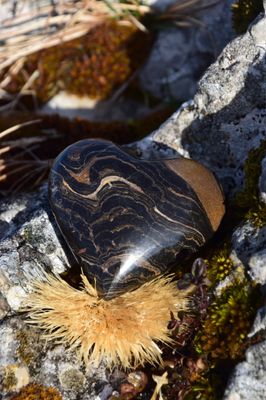 Coeur en Stromatolite