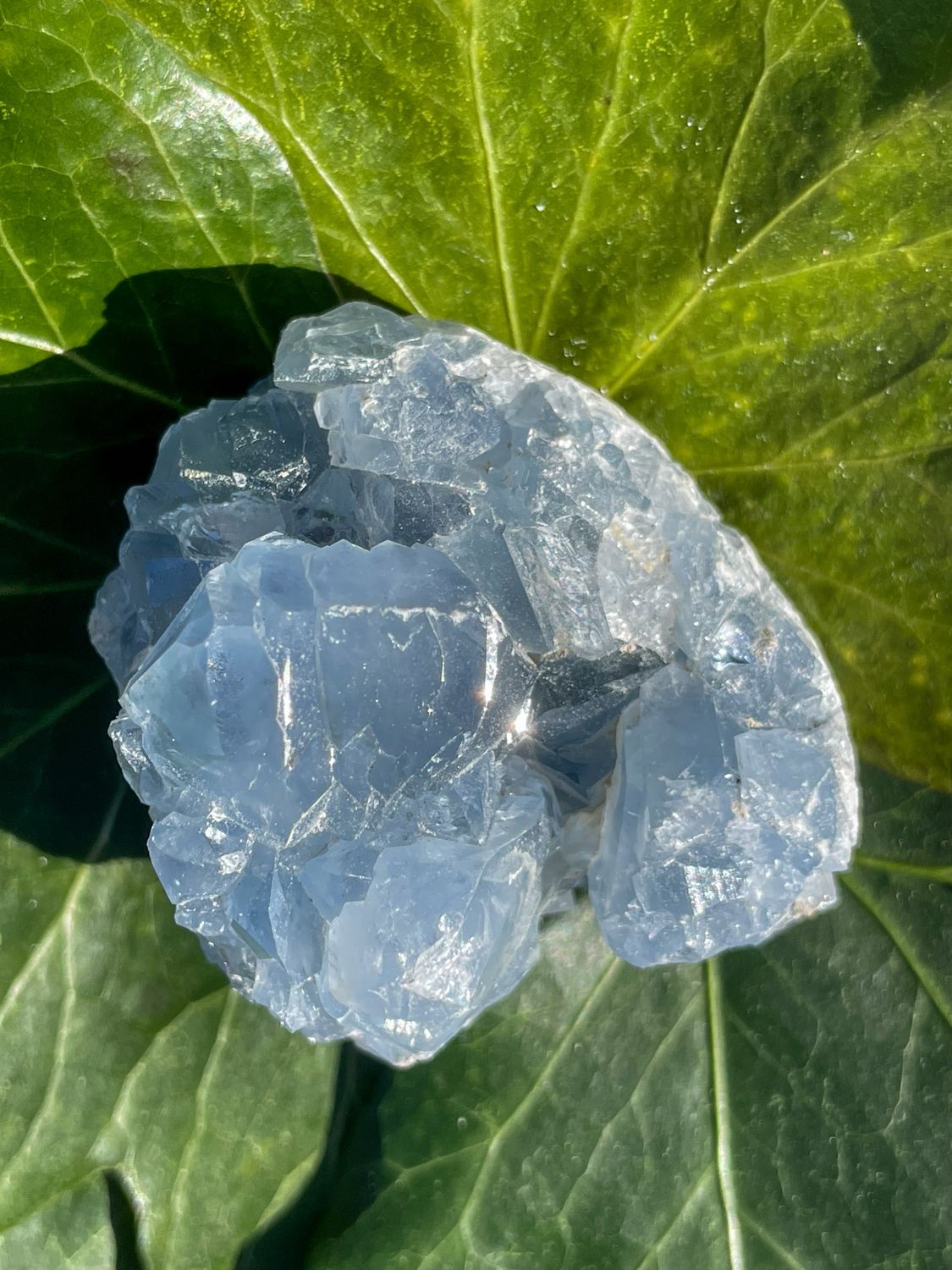 Célestite brute