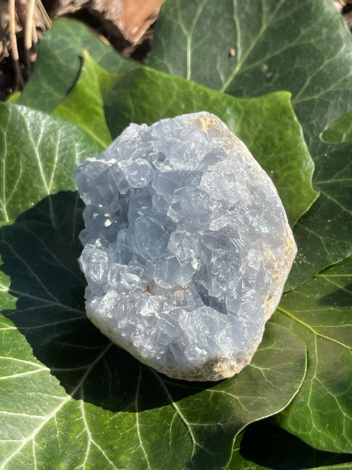 Célestite brute