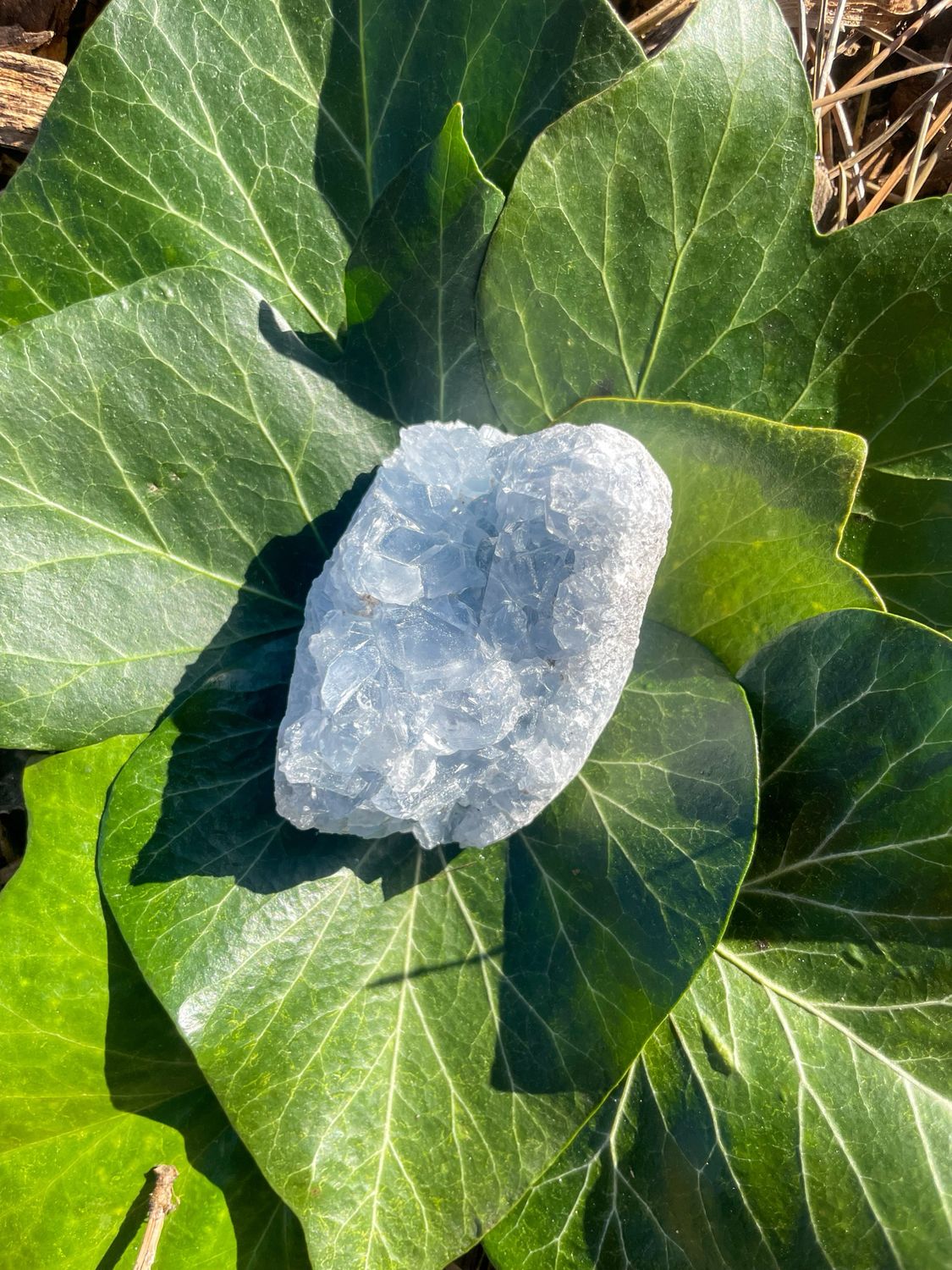 Célestite brute