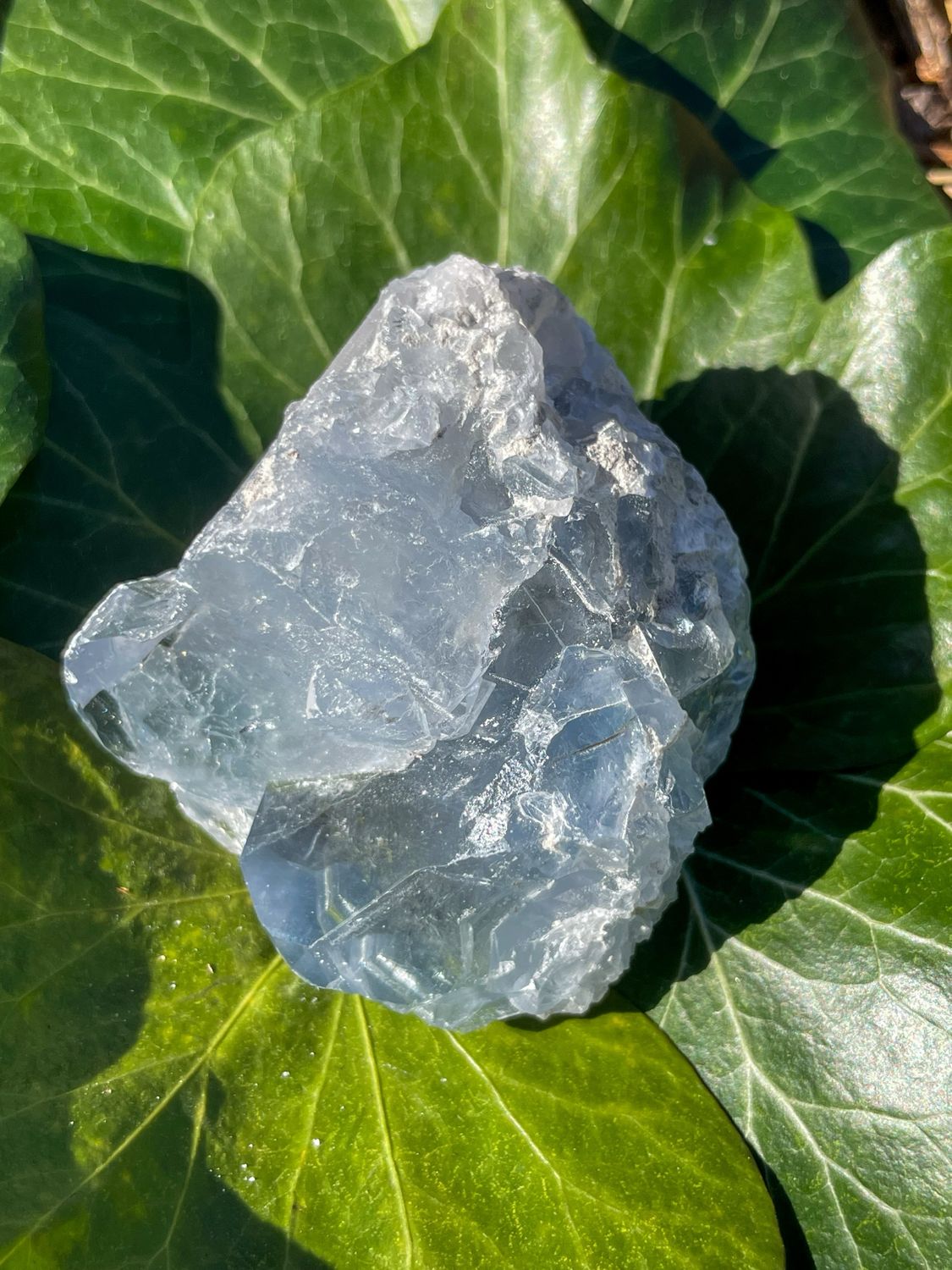 Célestite brute
