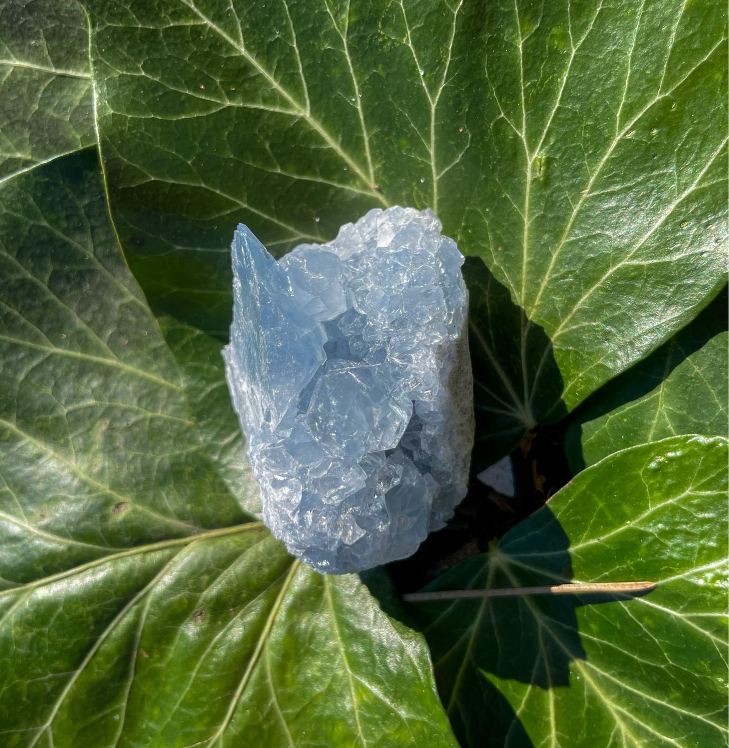 Célestite brute