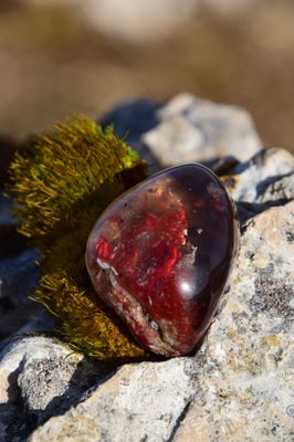 Galet en Lodolite
