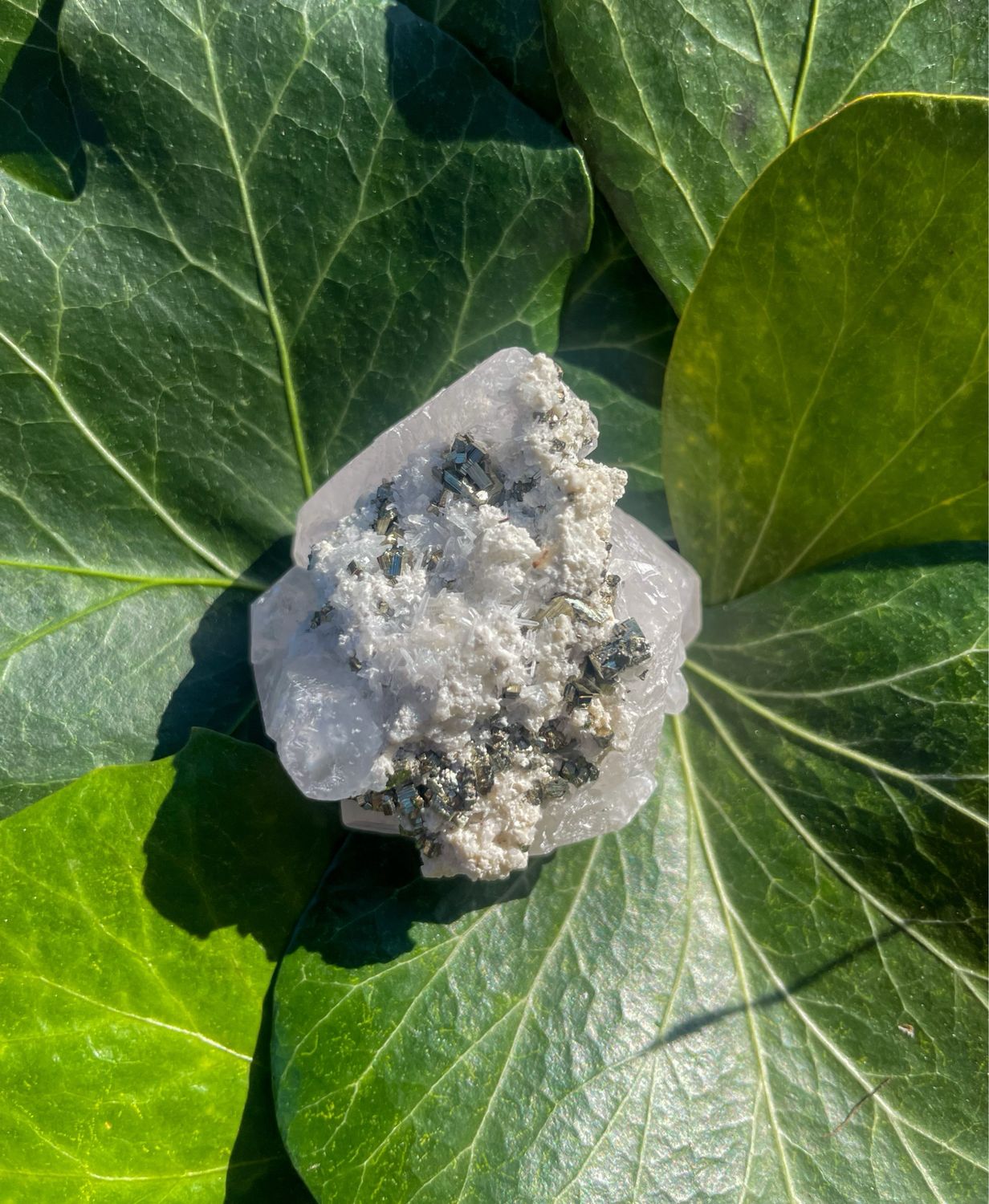 Calcite - Pyrite brute