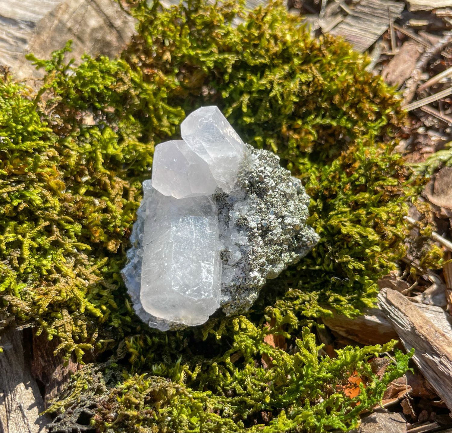 Calcite - Pyrite brute