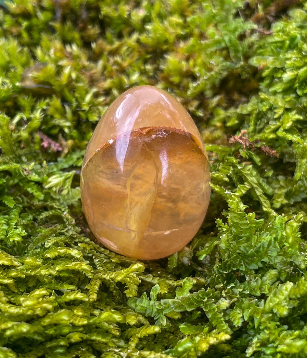 Oeuf en Quartz hématoïde jaune