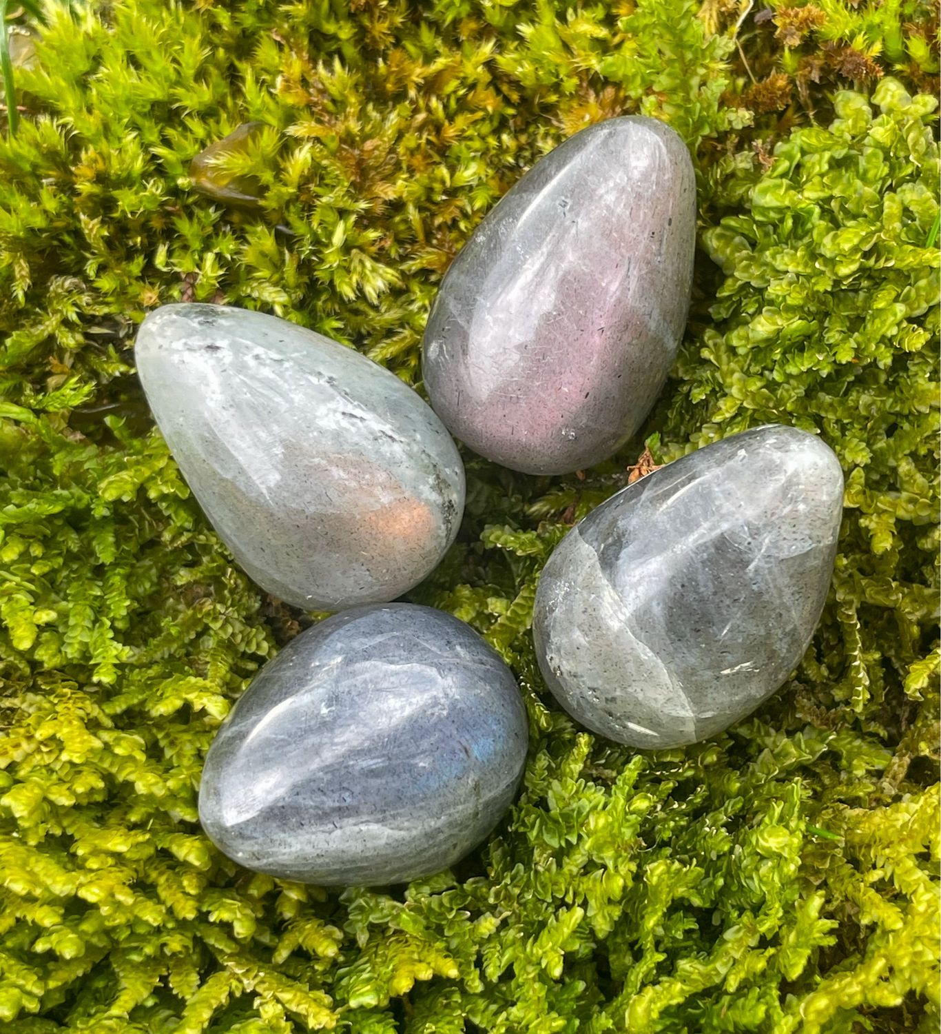 Œuf en Labradorite
